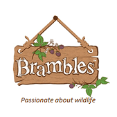 Brambles Wildlife Food